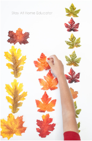 Graphing fall leaves for preschool and pre-k