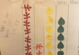 tree leaf chart graph from Fall STEM activities for early learning programs