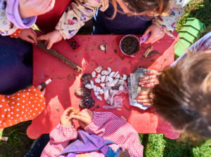 preschoolers early learning at a forest school